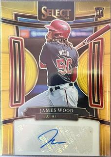 James Wood