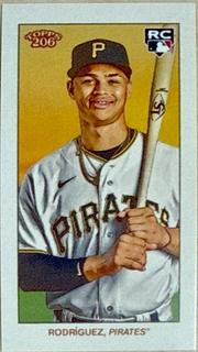 Endy Rodriguez