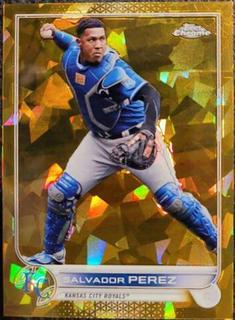 Salvador Perez