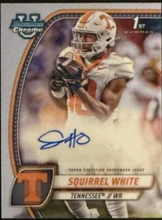 Squirrel White