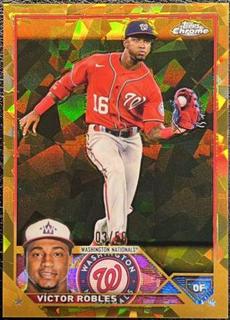 Victor Robles