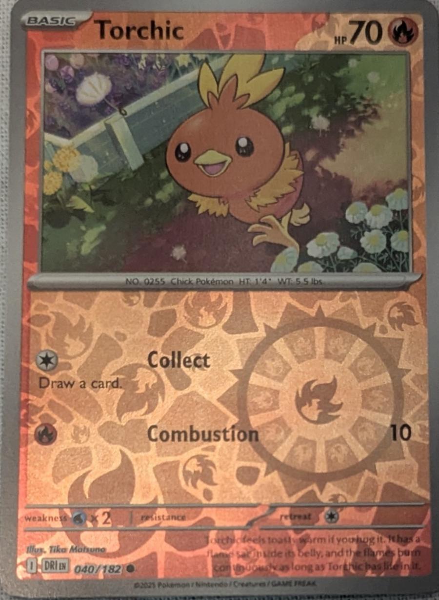 Torchic #40 Pokemon Destined Rivals