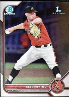 Landon Sims