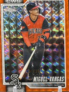 Miguel Vargas