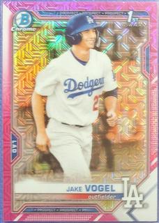 Jake Vogel