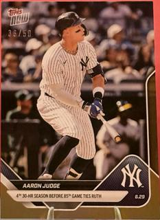 Aaron Judge