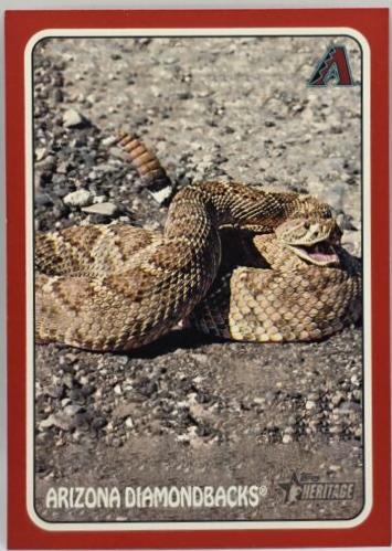 Arizona Diamondbacks [Red] #75Z-8