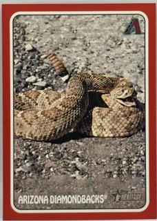 Arizona Diamondbacks
