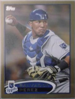 Salvador Perez