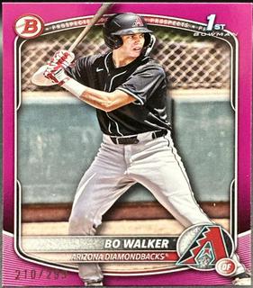 Bo Walker