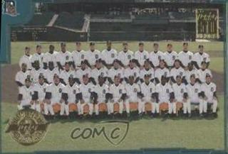 Detroit Tigers