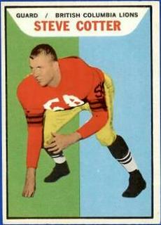 Steve Cotter