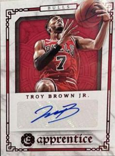 Troy Brown Jr.