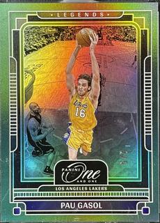 Pau Gasol