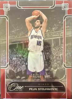 Peja Stojakovic
