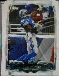 Calvin Johnson