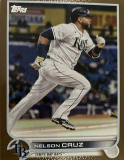 Nelson Cruz
