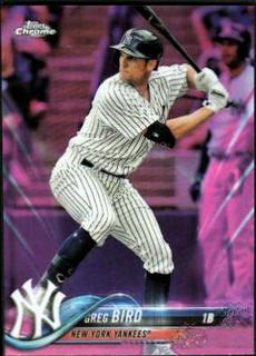 Greg Bird