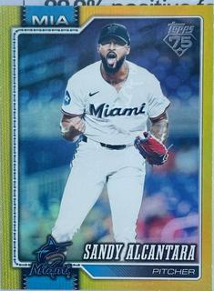 Sandy Alcantara