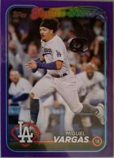 Miguel Vargas