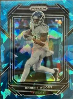 Robert Woods