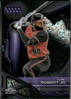 Luis Robert Jr.
