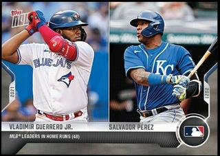 Vladimir Guerrero Jr. / Salvador Perez