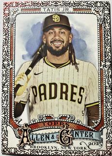 Fernando Tatis Jr.
