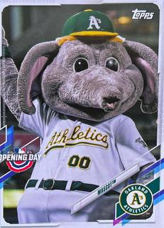 Stomper