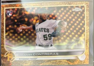 Roansy Contreras