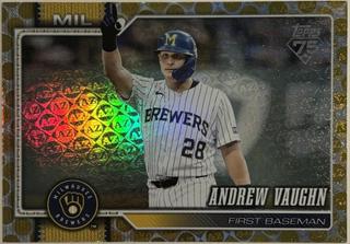 Andrew Vaughn
