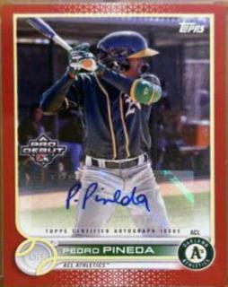 Pedro Pineda