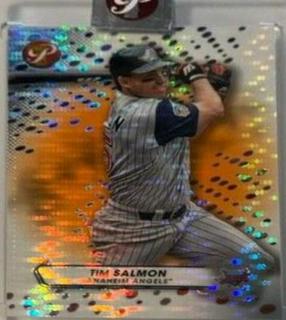 Tim Salmon