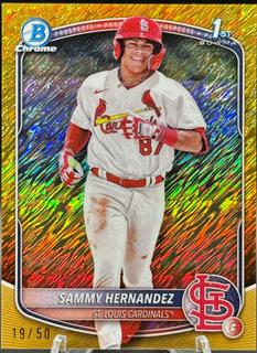 Sammy Hernandez