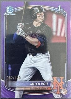 Mitch Voit