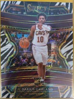 Darius Garland