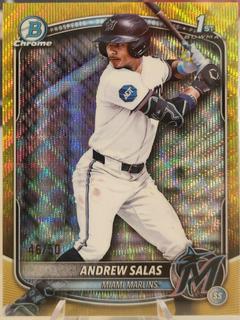 Andrew Salas