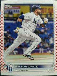 Nelson Cruz