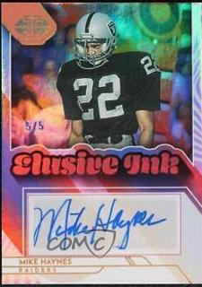Mike Haynes