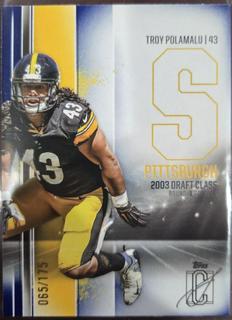 Troy Polamalu