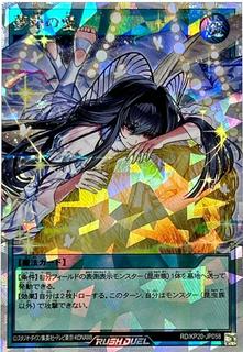 Quixotic Love KP20-JP058