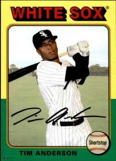 Tim Anderson