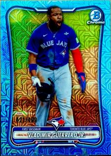 Vladimir Guerrero Jr.