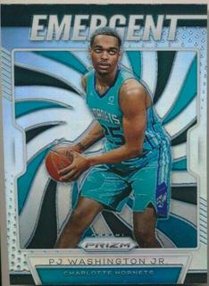 PJ Washington Jr.