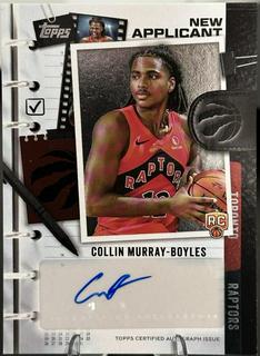 Collin Murray-Boyles