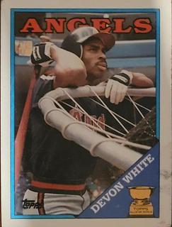 Devon White