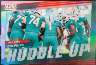 Miami Dolphins
