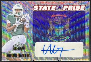 Antonio Gates Jr.