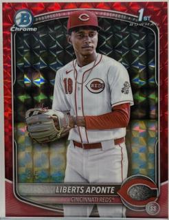 Liberts Aponte