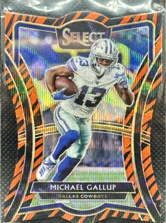 Michael Gallup